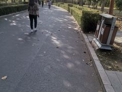 -长春公园(普阳街道)