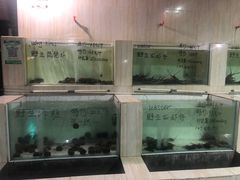 -海盗餐厅