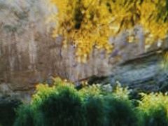 -沕沕水生态风景区