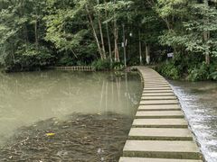 -桤木河湿地公园