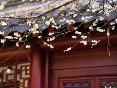 -钱王祠