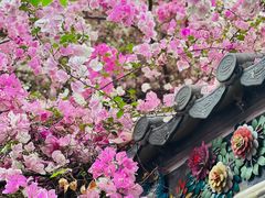 -深圳国际园林花卉博览园