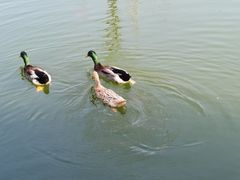 -西安汉城湖景区