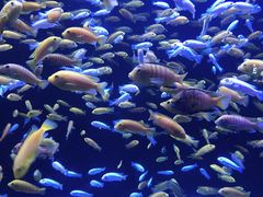 -成都浩海立方海洋公园