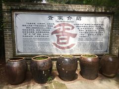 -北海金海湾红树林生态旅游区