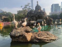 -团结湖公园