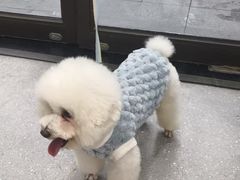 -心仪动物医院·牙专科·肿瘤·心脏科(西客站院)