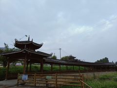 -长寿村