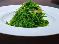 -曼格纳·曼芯馆(杨浦店)