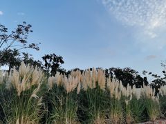 -上海山野camping·户外天幕烧烤·团建拓展营地
