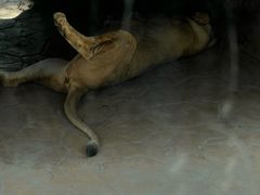 -北京野生动物园