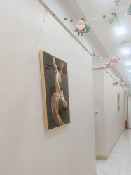 -CICI纤美·科技减肥美容