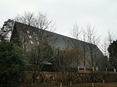 -美丽洲堂