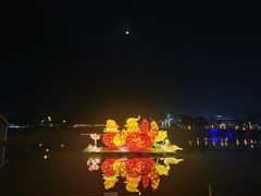 -荷兰花海