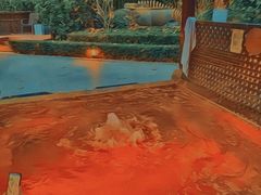 -春晖园度假酒店温泉