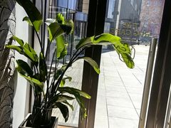 -The Rug Cafe(王府中环店)