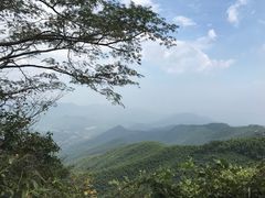 -马克咖啡The Moganshan Lodge