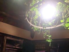 大堂-胡桃里乐队酒馆(鎏嘉码头店)