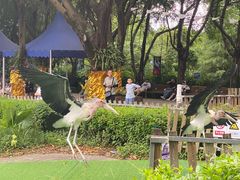 -广州长隆飞鸟乐园