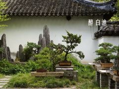 -上海醉白池公园