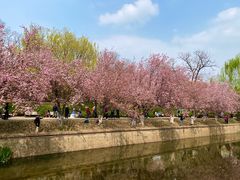 -海棠花溪(元大都城垣遗址公园)