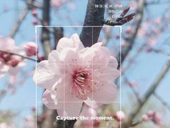 -上海滨江森林公园