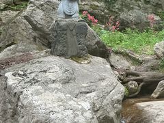 -王顺山国家森林公园
