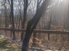 -阳台山自然风景区