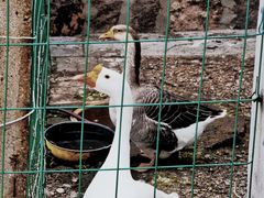 -观象山公园