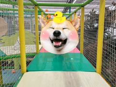 -南宫五洲植物乐园