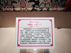-青海藏文化博物院