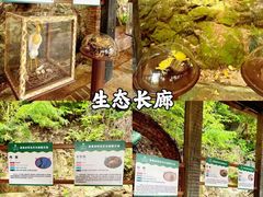 -青青世界