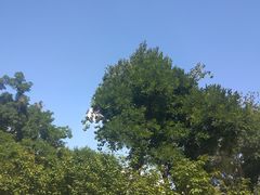 -清真·二嫂子煎饼果子(鼓楼旗舰形象店)