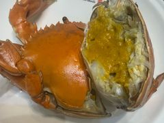 -膳富贵黄油蟹体验馆(欢乐港湾店)