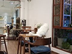 -有猫主题·治愈系猫咖(曾厝垵店)