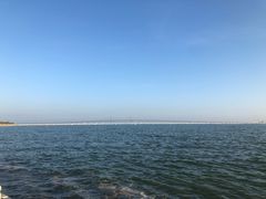 -新享乐海鲜(翠华路店)