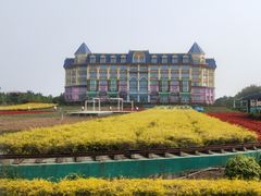 -百万葵园
