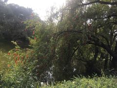 -人民公园(罗湖区)