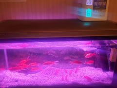 -智慧盲人按摩艾灸-颈肩腰膝疼痛调理(浦东店)