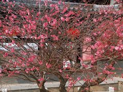 -祥源·阜阳生态乐园