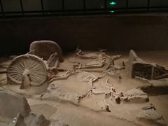 -洛阳周王城天子驾六博物馆