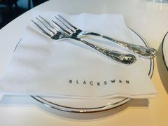 -BLACKSWAN黑天鹅(环球店)