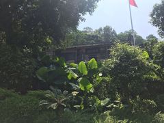 -广州市帽峰山景区