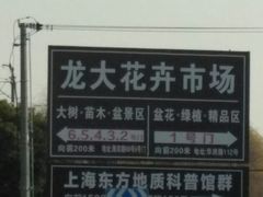 -龙大花卉苗木市场
