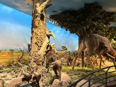 -国家自然博物馆