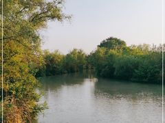 -西溪国家湿地公园