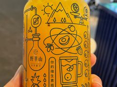 -野萃山·潮汕厚果汁(十亩地店)