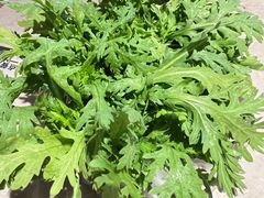 -芸山季·云南野生菌火锅(宝能环球汇店)