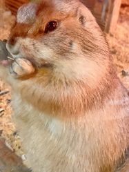 -酷嗒动物文化乐园(cutezoo西溪乐天城店)