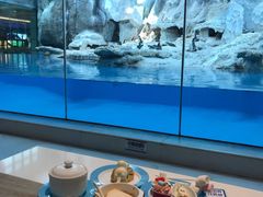 -帝企鹅自助餐厅•儿童岛•真企鹅(长隆企鹅酒店)